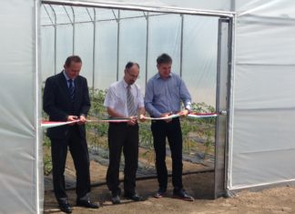 Baptista mintaprogram a közfoglalkoztatásban