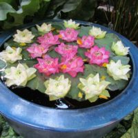 dcea309c-23fe-4f8a-b7d4-bd5ef0b925f3