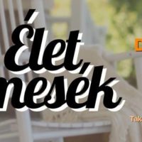 14292325_1207679839274911_4866220333729397056_n