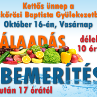 14572956_1803289176549520_809961709420059294_n