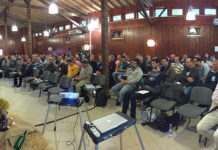 Férfi a pályán II.