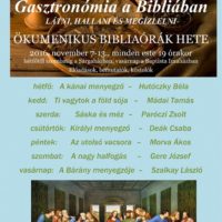 15002351_1254258591314490_1477082569007414344_o