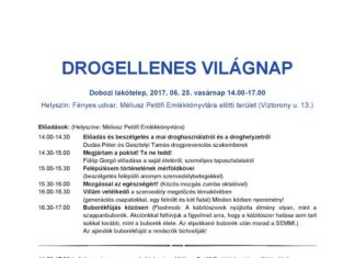 Drogellenes világnap