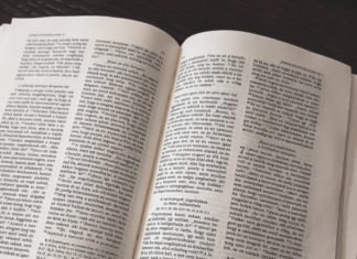 November 11. Biblia-vasárnap