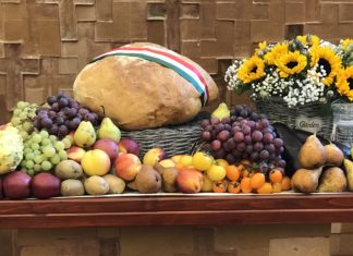 Hálaadónapot tartunk, de miért?