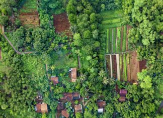 Hihetetlen történetek