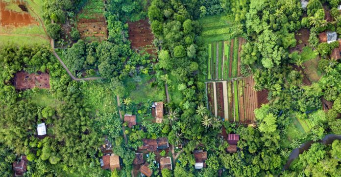 pexels-photo-1571155