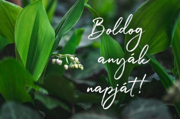 boldog-anyak-napjat