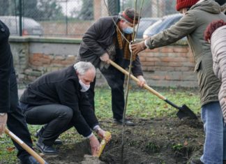 Őszi faültetések az 500 év – 500 fa projekt keretében