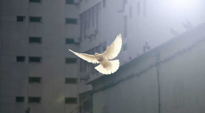 sunguk-kim-JhqBxsORuXA-unsplash