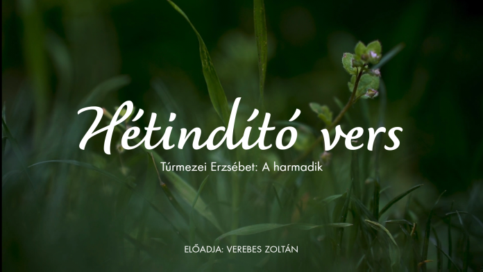 Adobe_Express_20230416_1758140_1