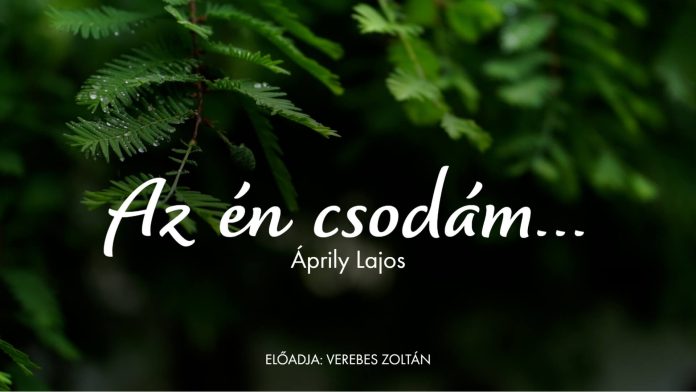 Hétindító vers-1 (3) (1)