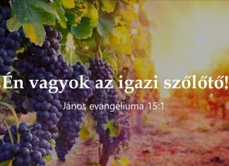 A tanítványok és a világ – üldöztetés a mindennapi életünkben – Pollák Dávid – Kispest