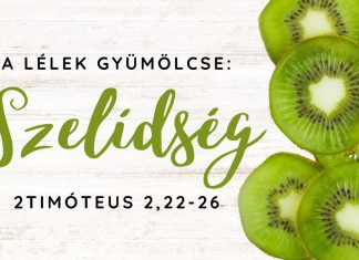 2023.08.06. A Lélek gyümölcse: Szelídség – 2Tim 2,22-26 – Paróczi Zsolt – Szigetszentmiklós