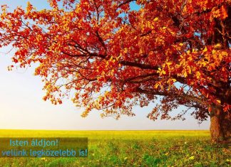 Az eltévedt bárány – 2023.11.19. – Sellyei Imre – Őrbottyán