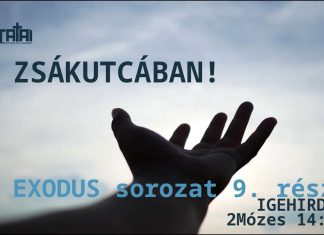 2023. nov. 26. – Zsákutcában! | 2Mózes 14:5-15 | Szimon Gergő – Tata