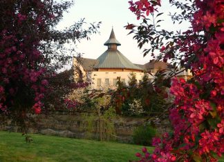 2024.01.14. – Vasárnap du. – János Csaba – Nagybánya