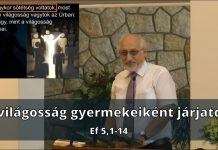 2024. 07. 21. délelőtti istentisztelet // Mészáros Kornél – Újpest
