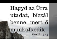 2025. 01. 19. – Zsolt. 37:5 Hagyjad az Úrra az utadat – Pesti Csaba – Karcag