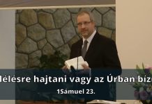 2025. 02. 16. délelőtti istentisztelet // Neuwirth Tibor – Újpest