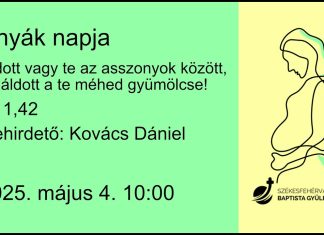 Áldott vagy te az asszonyok között, és áldott a te méhednek gyümölcse – Kovács Dániel – 2025.05.04. – Székesfehérvár