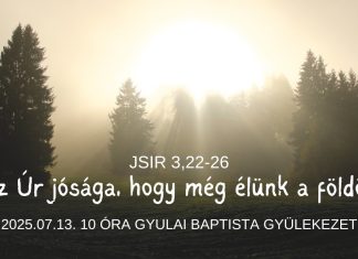2025. 07. 13. – Az Úr jósága, hogy még élünk a földön – Merényi Zoltán – Gyula