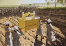 2025.08.03. Istentisztelet (Pollák Dávid) – Józsué 3. „Szenteljétek meg magatokat” – Bp. Kispest