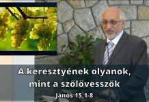 2025. 08. 31. délelőtti istentisztelet // Mészáros Kornél – Újpest