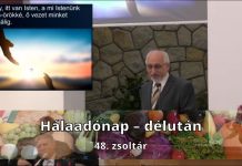 2025. 10. 12. délutáni istentisztelet // Mészáros Kornél – Újpest