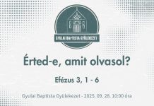 2025. 09. 28. – Érted-e, amit olvasol? – Tóth Zoltán – Gyula