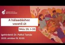 A hálaadáshoz vezető út – Dr. Pafkó Tamás – 2025.10.19. – Székesfehérvár