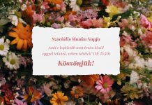 Szociális munka napja