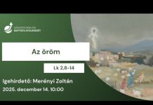 Az öröm – Merényi Zoltán – 2025.12.14. – Székesfehérvár