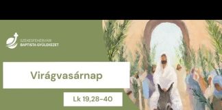 Virágvasárnap – Kovács Dániel – 2026.03.29. – Székesfehérvár