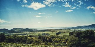 Teremtésvédelem – Hogyan tudod védeni a teremtett világot?