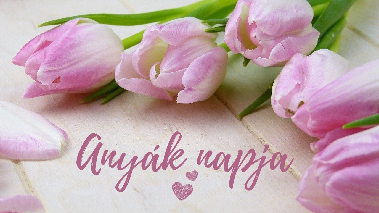Elfelejt-e, aki szeret? – Ézs 49,13-23 (2026.05.03. Anyák napja) – Papp Dániel – Nyíregyháza