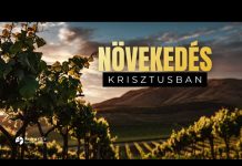 2026. 06. 07. – Növekedés Krisztusban – Kánai Péter – Bp. Rákoskeresztúr