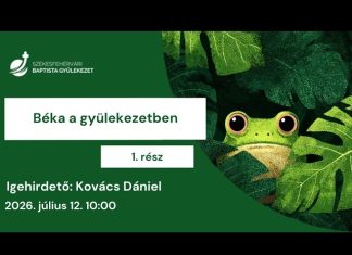 Béka a gyülekezetben – Kovács Dániel – 2026.07.12. – Székesfehérvár