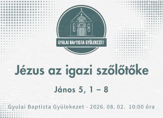 2026. 08. 02. – Jézus az igazi szőlőtőke – Papp József Barnabás – Gyula