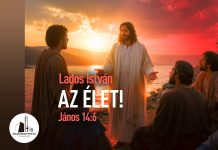 2026. 08. 16. – Lados István: Az élet! – Baja
