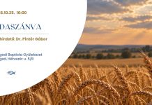 Odaszánva – Dr. Pintér Gábor – 2026. 10. 25. – Szeged